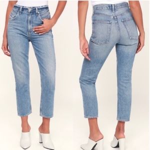 AGOLDE Palmer High Waisted Straight Leg Jeans